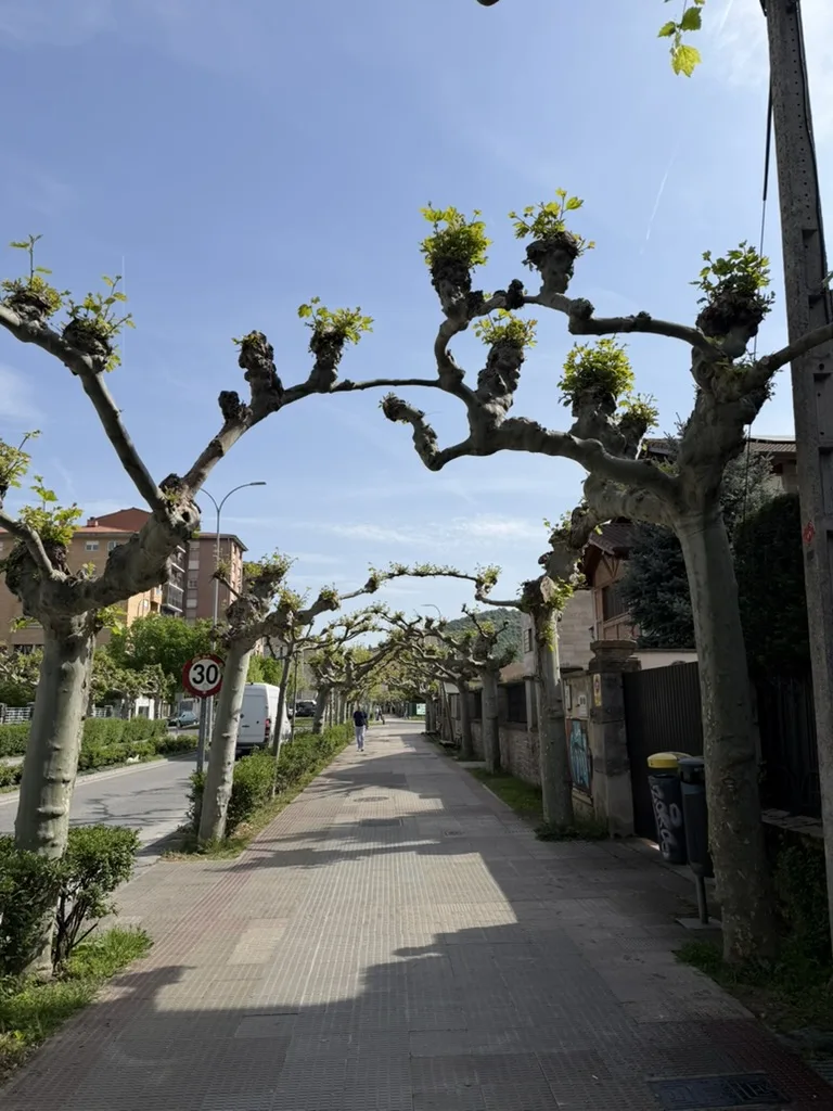 Villava
